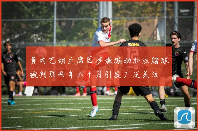 费内巴切主席因涉嫌煽动非法赌球被判刑两年六个月引发广泛关注