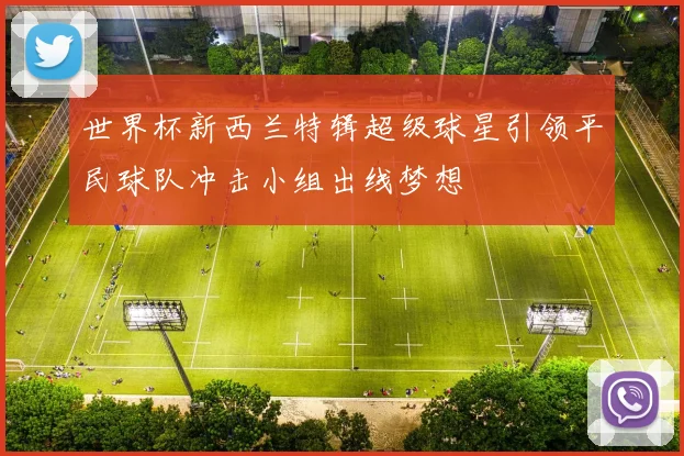 世界杯新西兰特辑超级球星引领平民球队冲击小组出线梦想